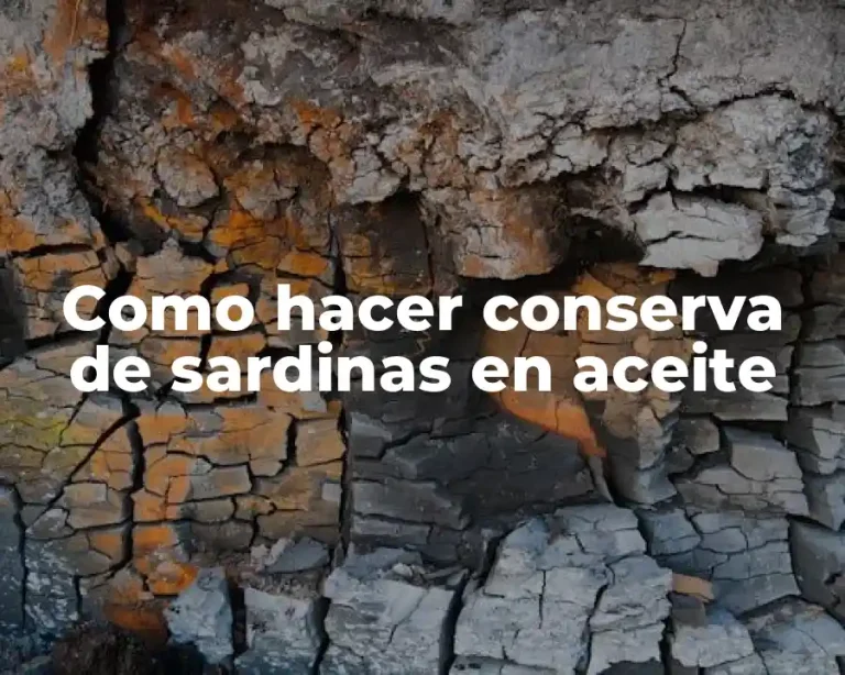 Como hacer conserva de sardinas en aceite