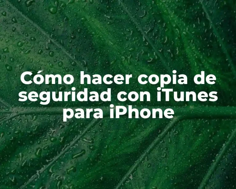 Cómo hacer copia de seguridad con iTunes para iPhone