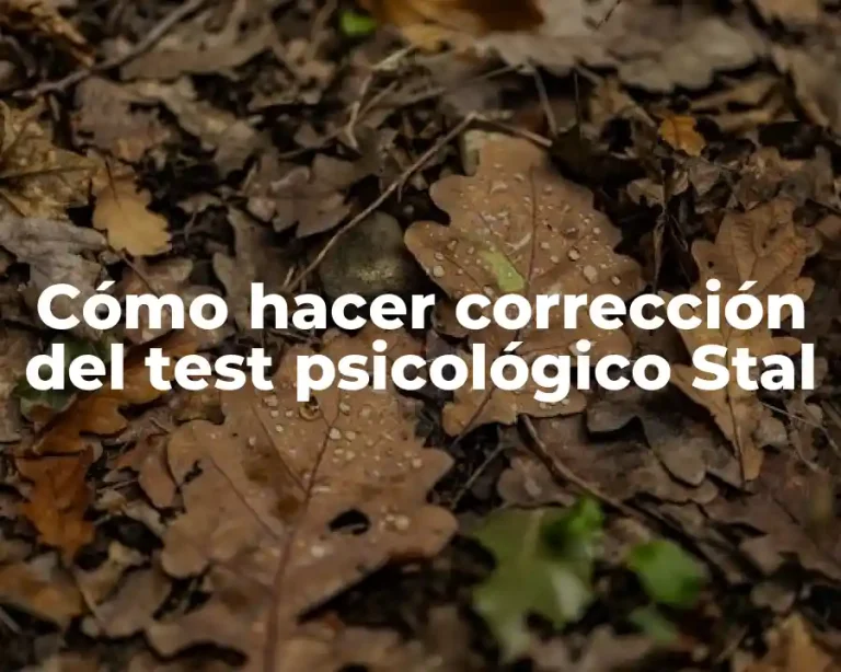 Cómo hacer corrección del test psicológico Stal