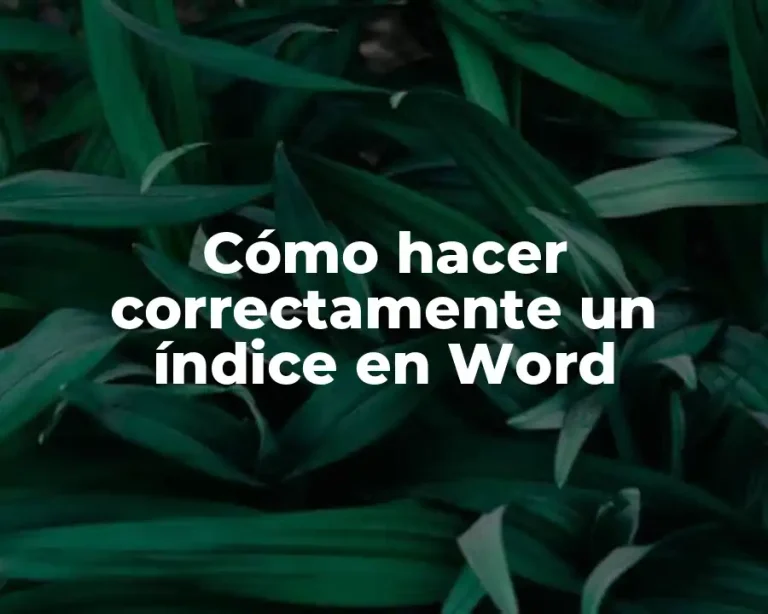 Cómo hacer correctamente un índice en Word