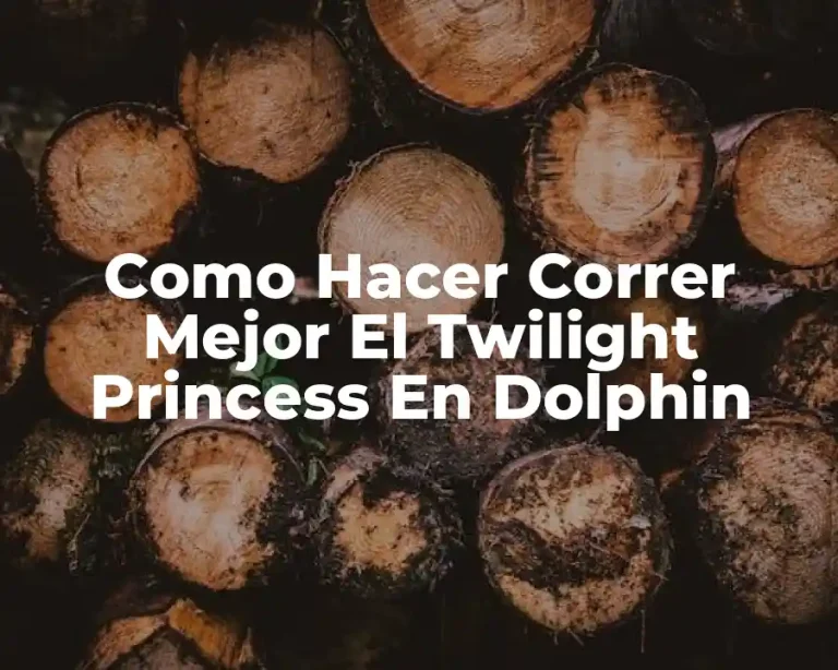Como Hacer Correr Mejor El Twilight Princess En Dolphin