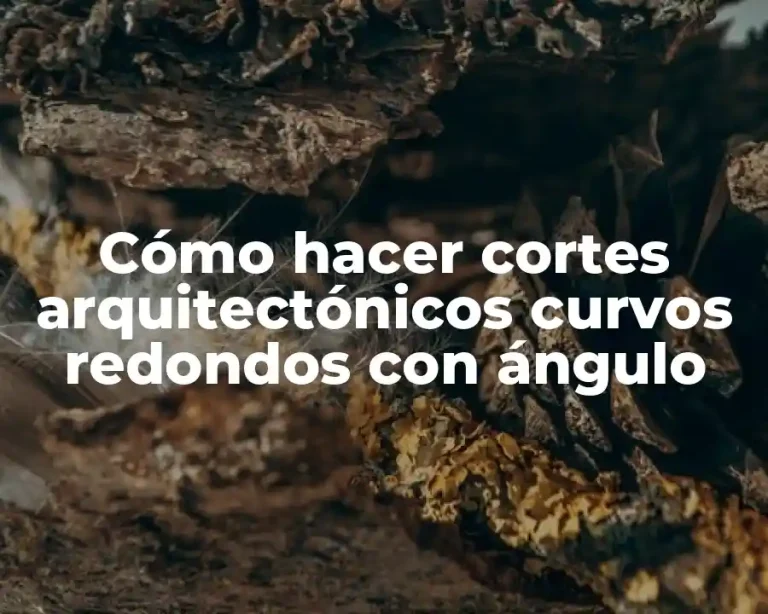 Cómo hacer cortes arquitectónicos curvos redondos con ángulo