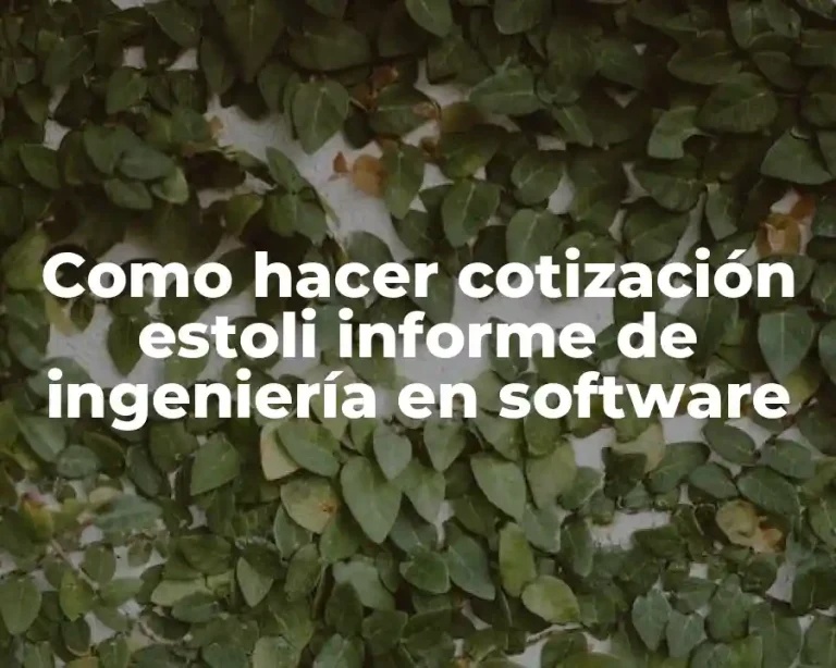 Como hacer cotización estoli informe de ingeniería en software