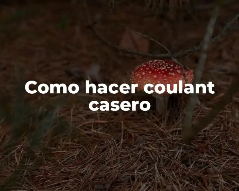 Como hacer coulant casero