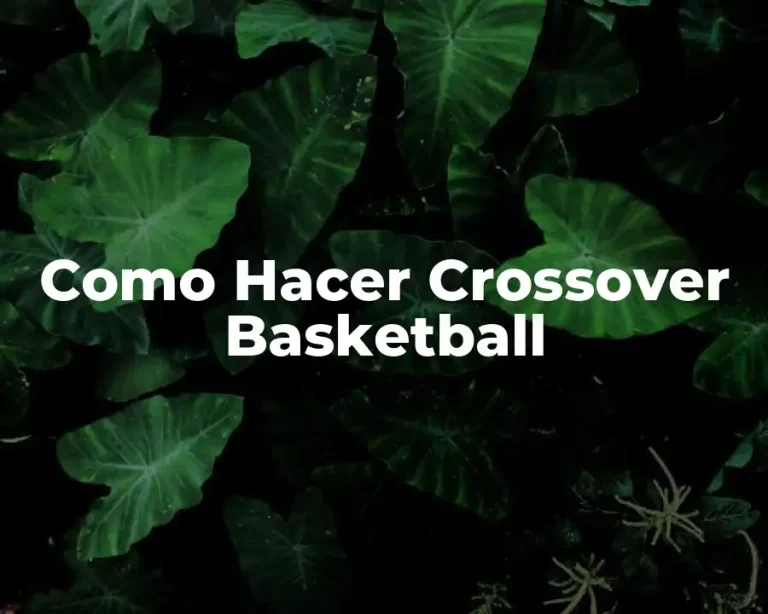 Como Hacer Crossover Basketball