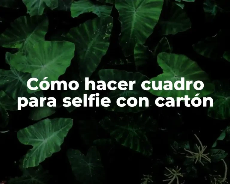 Cómo hacer cuadro para selfie con cartón