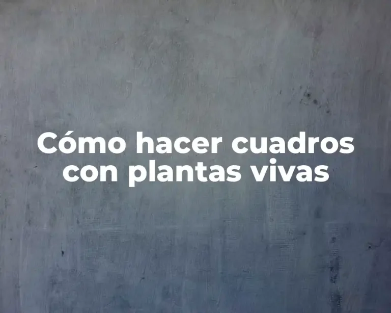 Cómo hacer cuadros con plantas vivas