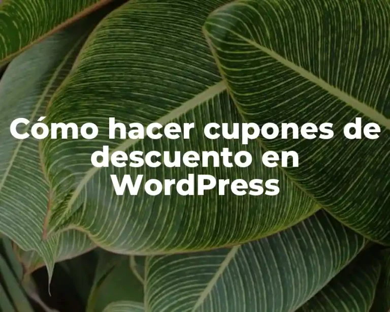 Cómo hacer cupones de descuento en WordPress