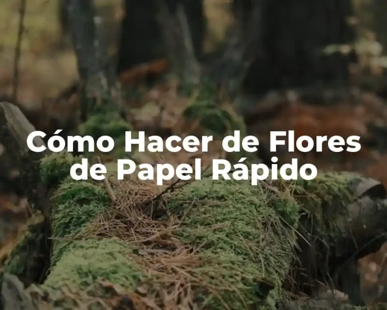 Cómo Hacer de Flores de Papel Rápido