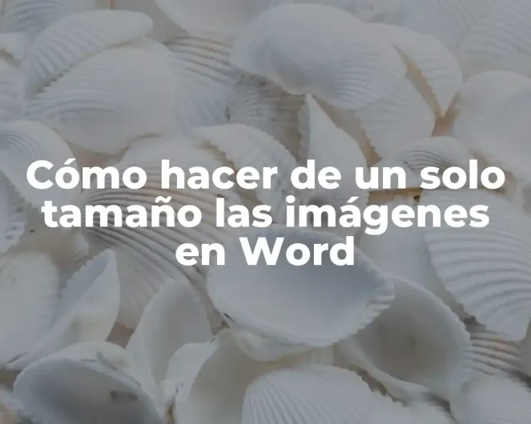 Cómo hacer de un solo tamaño las imágenes en Word