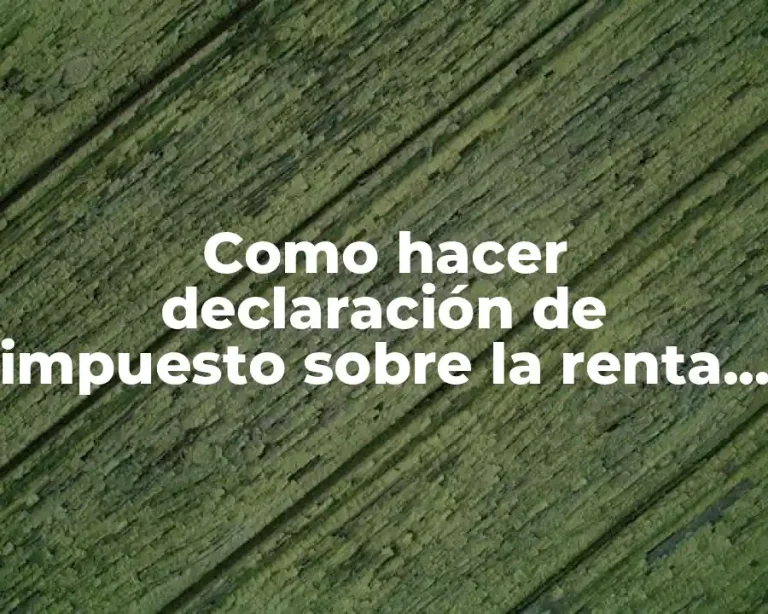 Como hacer declaración de impuesto sobre la renta persona natural