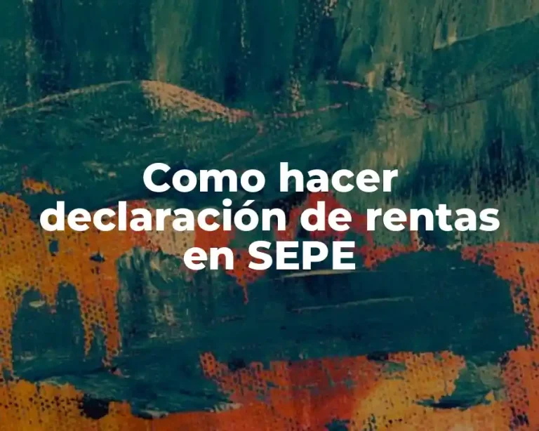 Como hacer declaración de rentas en SEPE