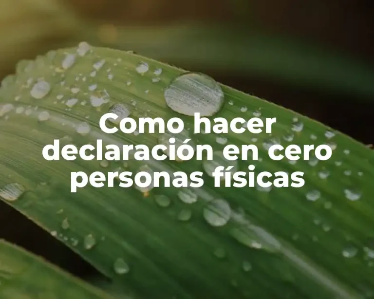 Como hacer declaración en cero personas físicas