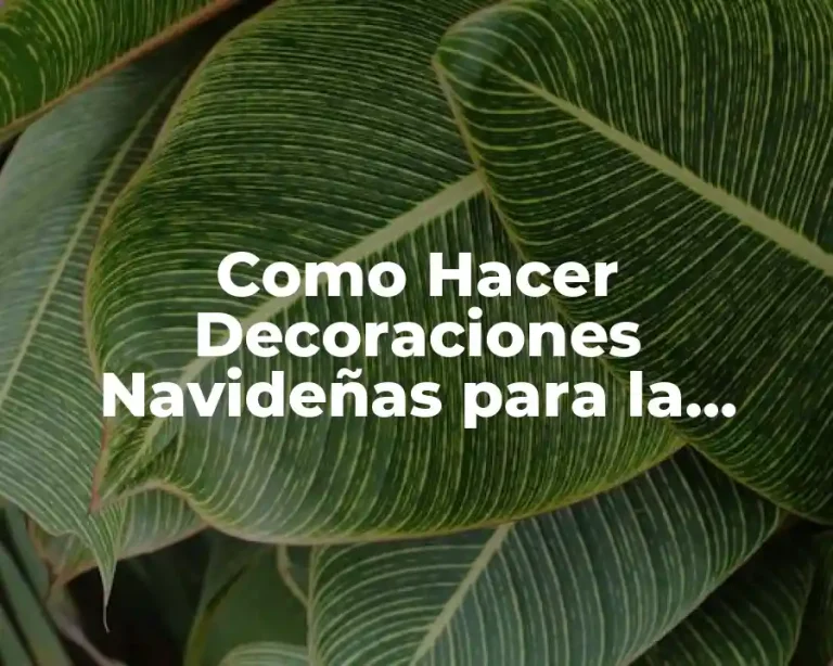 Como Hacer Decoraciones Navideñas para la Oficina