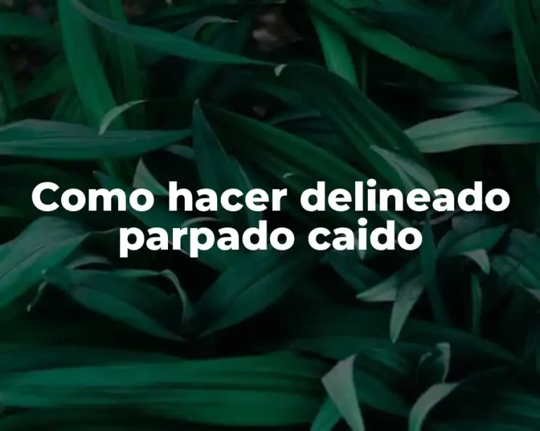 Como hacer delineado parpado caido