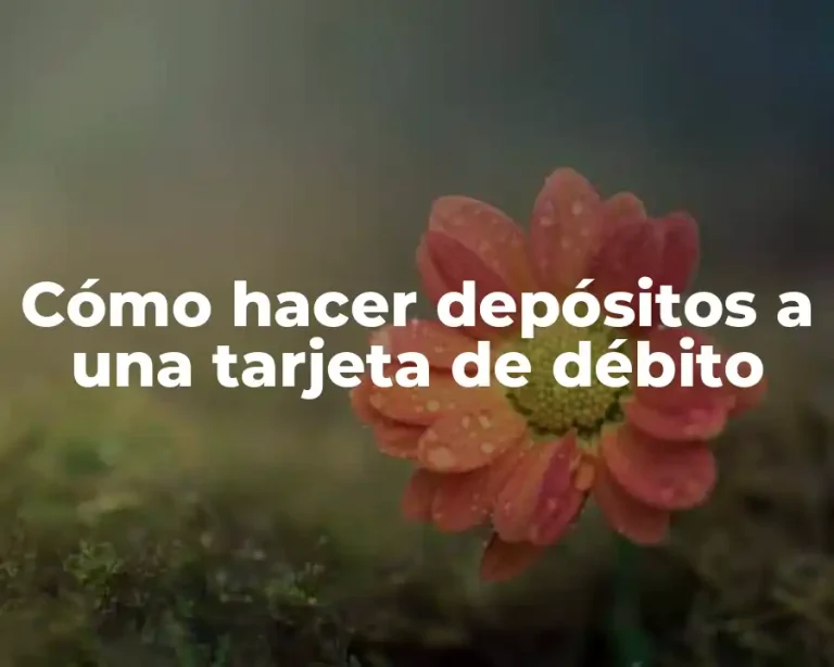 Cómo hacer depósitos a una tarjeta de débito