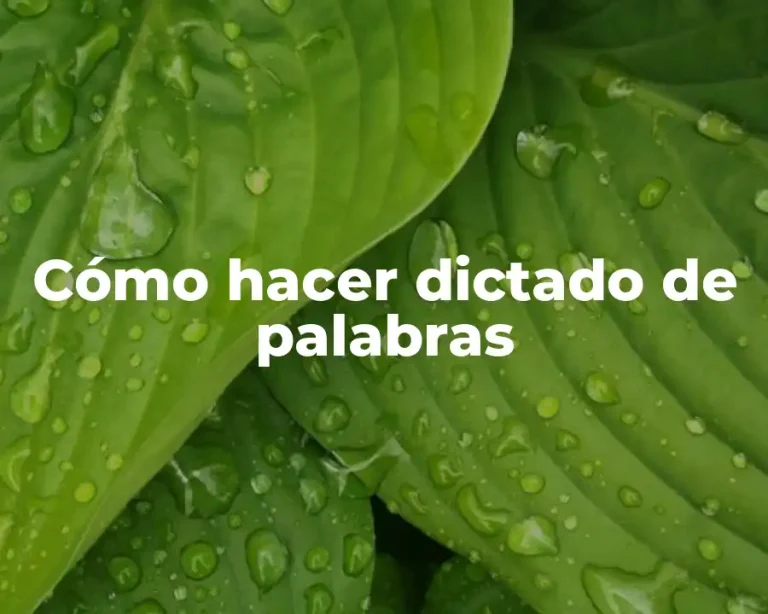 Cómo hacer dictado de palabras