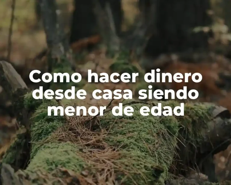 Como hacer dinero desde casa siendo menor de edad