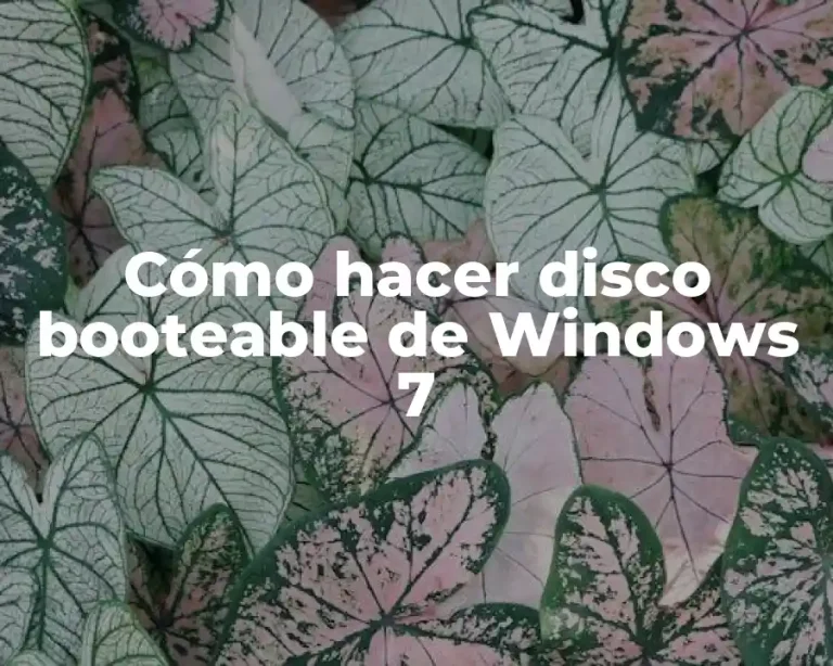 Cómo hacer disco booteable de Windows 7