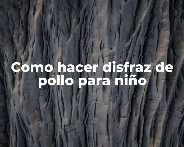 Como hacer disfraz de pollo para niño