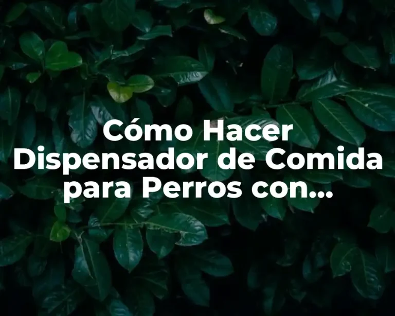 Cómo Hacer Dispensador de Comida para Perros con Botellas