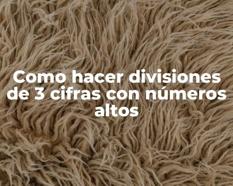 Como hacer divisiones de 3 cifras con números altos