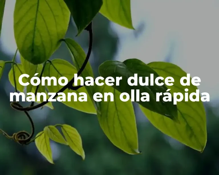 Cómo hacer dulce de manzana en olla rápida