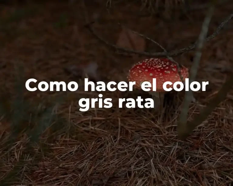 Como hacer el color gris rata