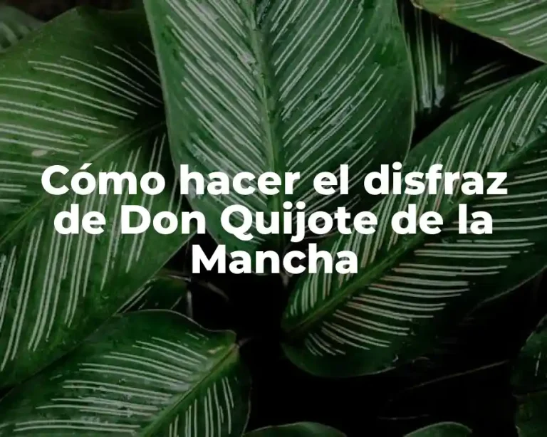 Cómo hacer el disfraz de Don Quijote de la Mancha