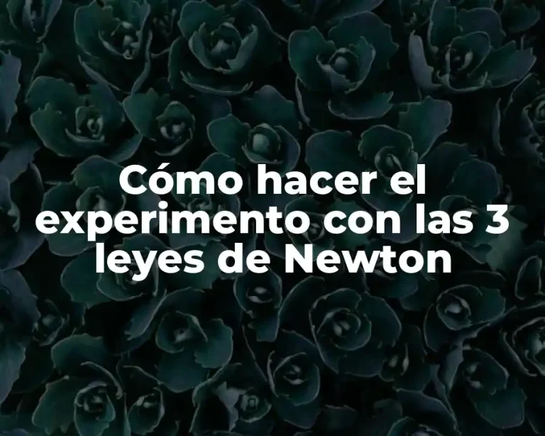 Cómo hacer el experimento con las 3 leyes de Newton