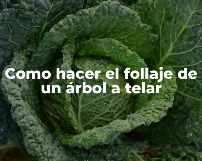 Como hacer el follaje de un árbol a telar
