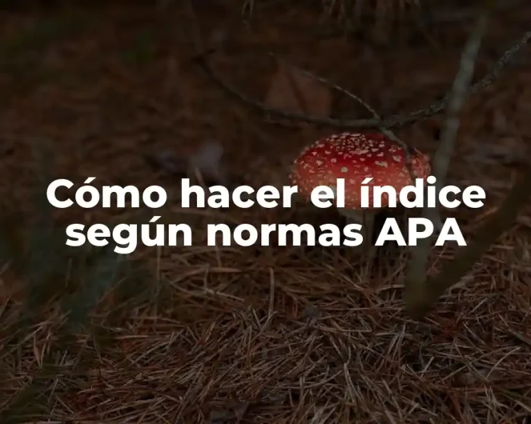 Cómo hacer el índice según normas APA