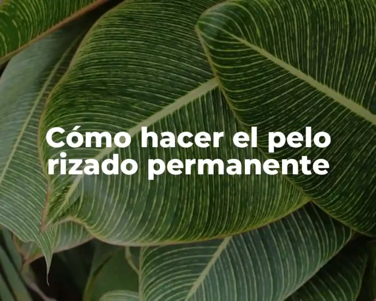 Cómo hacer el pelo rizado permanente