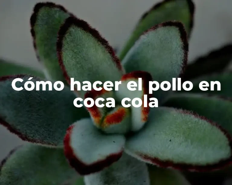 Cómo hacer el pollo en coca cola