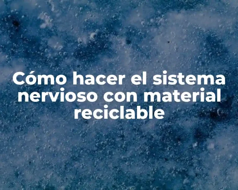 Cómo hacer el sistema nervioso con material reciclable