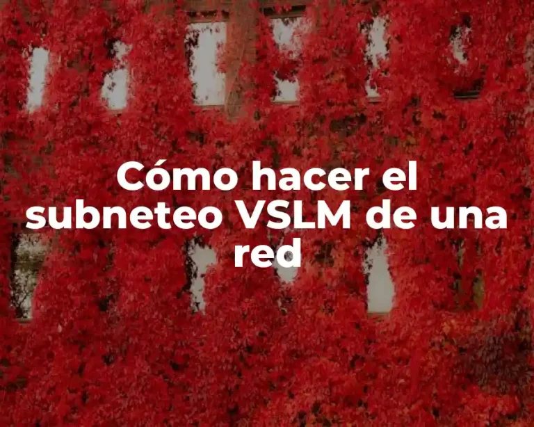 Cómo hacer el subneteo VSLM de una red
