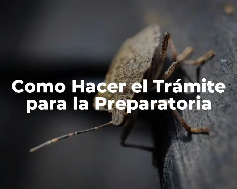 Como Hacer el Trámite para la Preparatoria