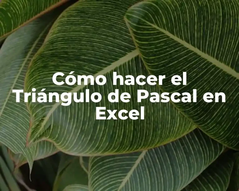 Cómo hacer el Triángulo de Pascal en Excel