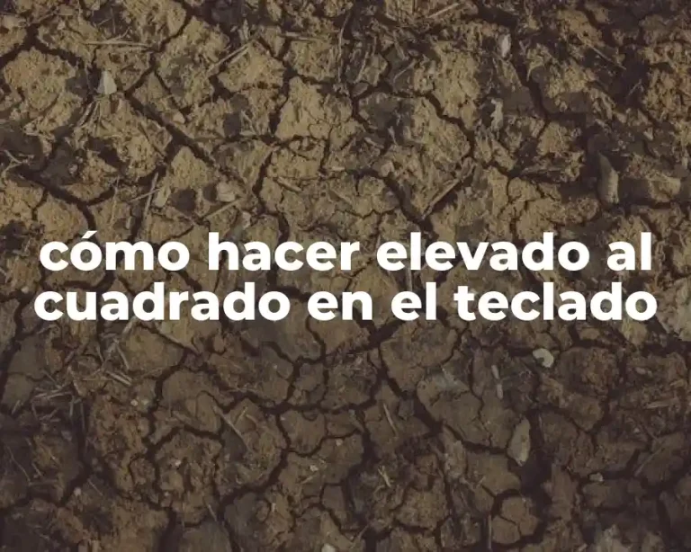 cómo hacer elevado al cuadrado en el teclado