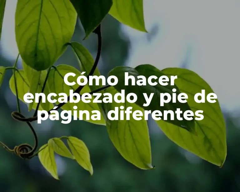 Cómo hacer encabezado y pie de página diferentes