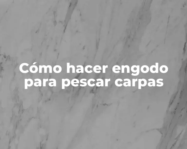 Cómo hacer engodo para pescar carpas