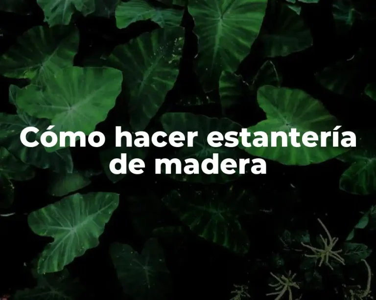 Cómo hacer estantería de madera