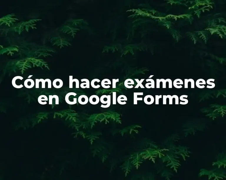 Cómo hacer exámenes en Google Forms