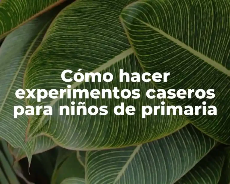 Cómo hacer experimentos caseros para niños de primaria