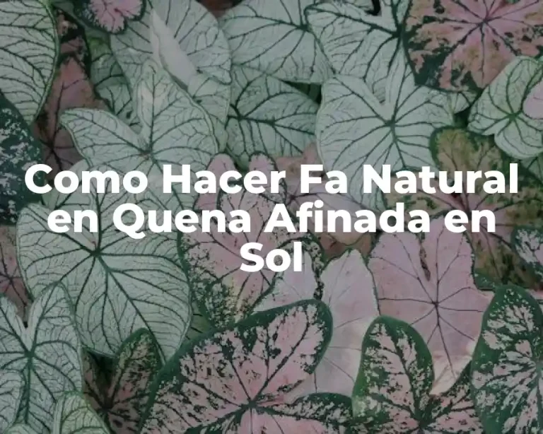 Como Hacer Fa Natural en Quena Afinada en Sol