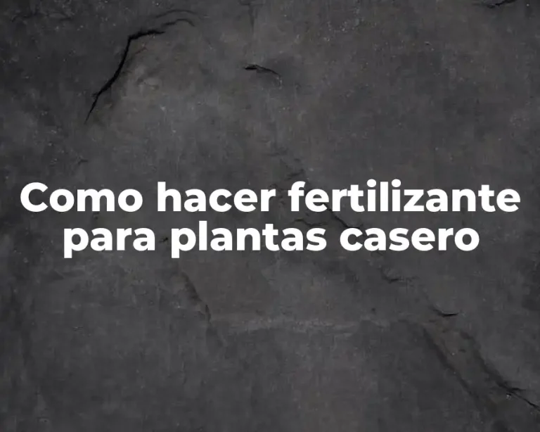 Como hacer fertilizante para plantas casero