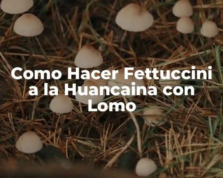 Como Hacer Fettuccini a la Huancaina con Lomo