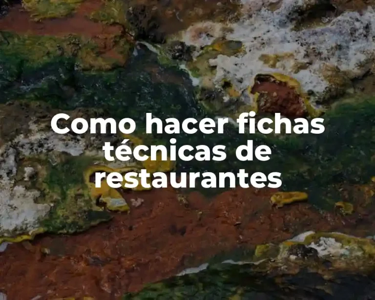 Como hacer fichas técnicas de restaurantes