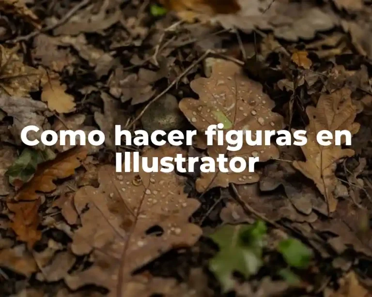 Como hacer figuras en Illustrator