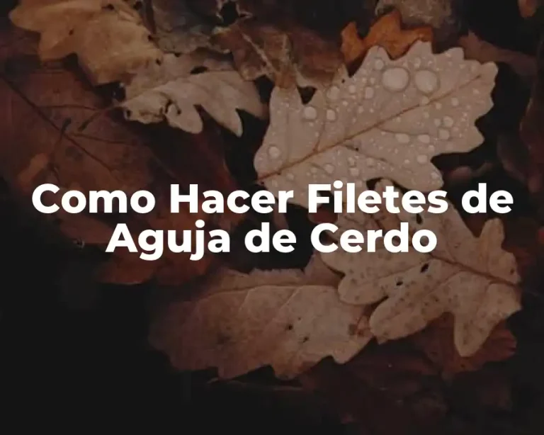 Como Hacer Filetes de Aguja de Cerdo